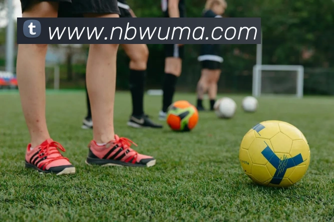 爱体育电子官网登录平台生态图